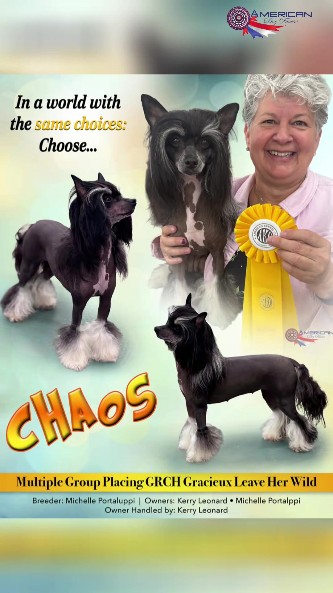 @American Dog Fancier