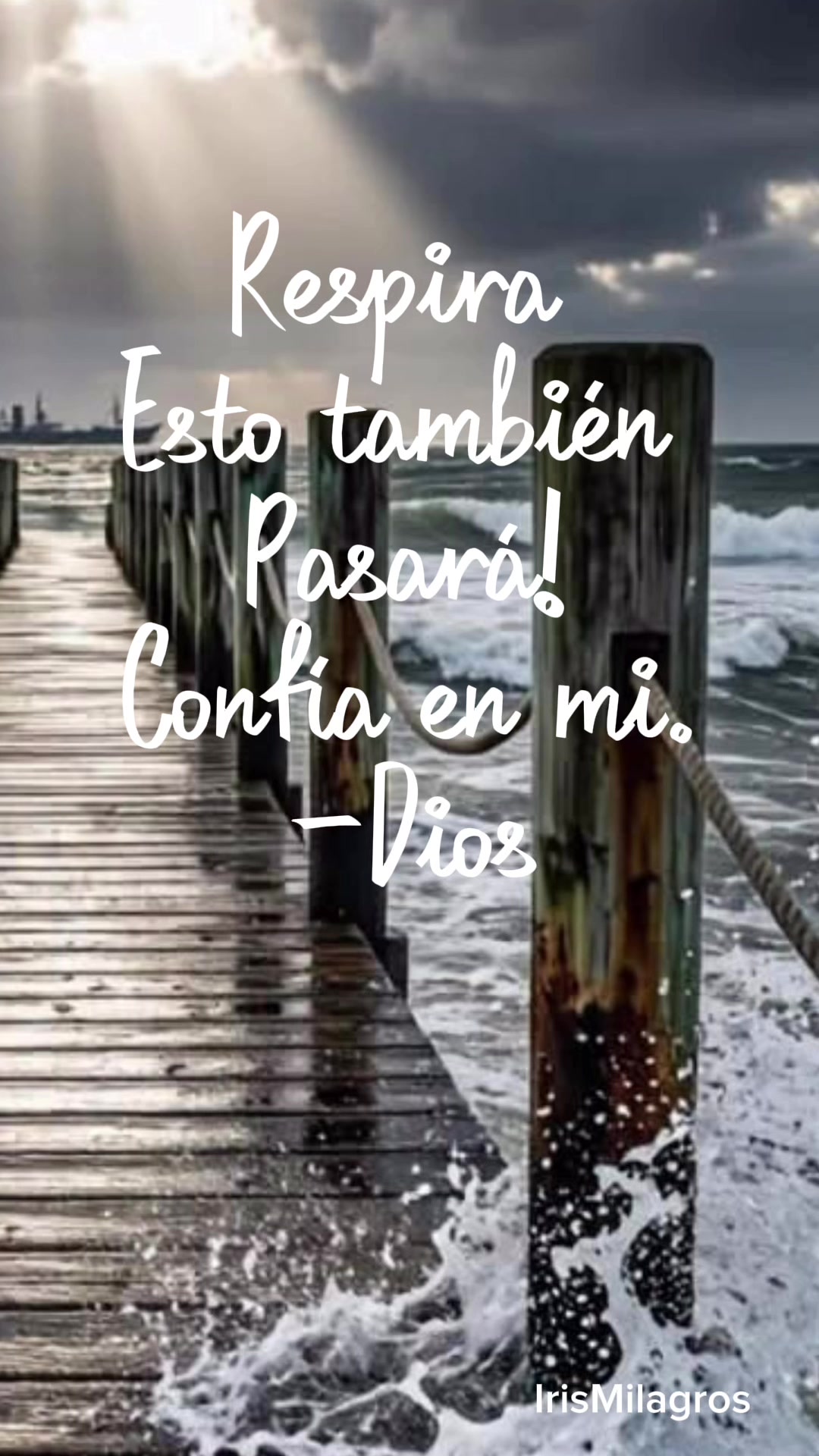 @IrisMilagros 🌼🌸