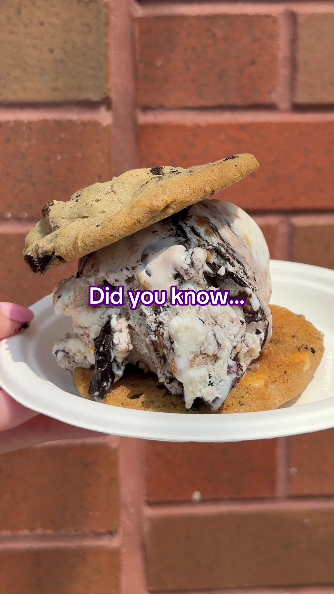 @insomniacookies