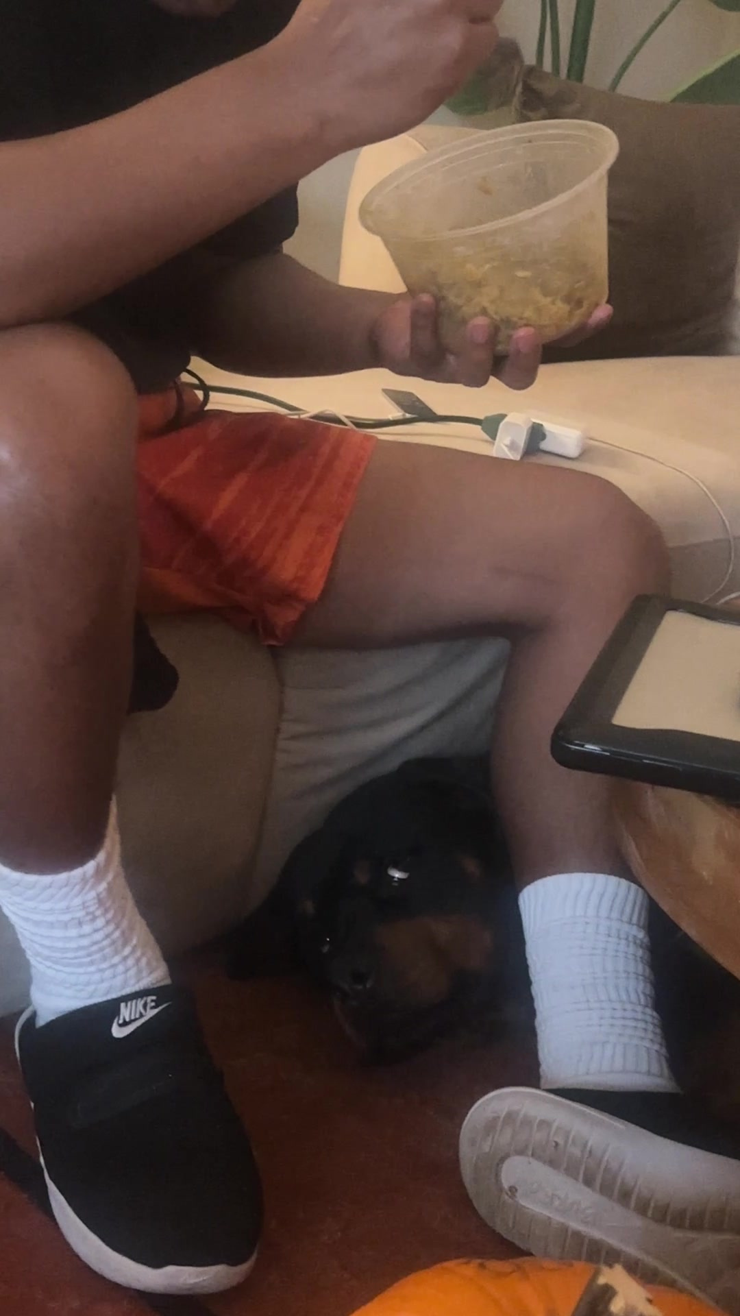 @Pluto the Rottie
