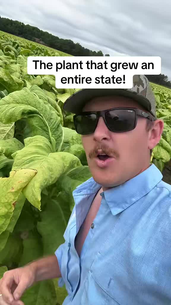 @thatagguy