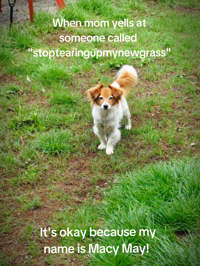 @NorwegianVikingMama