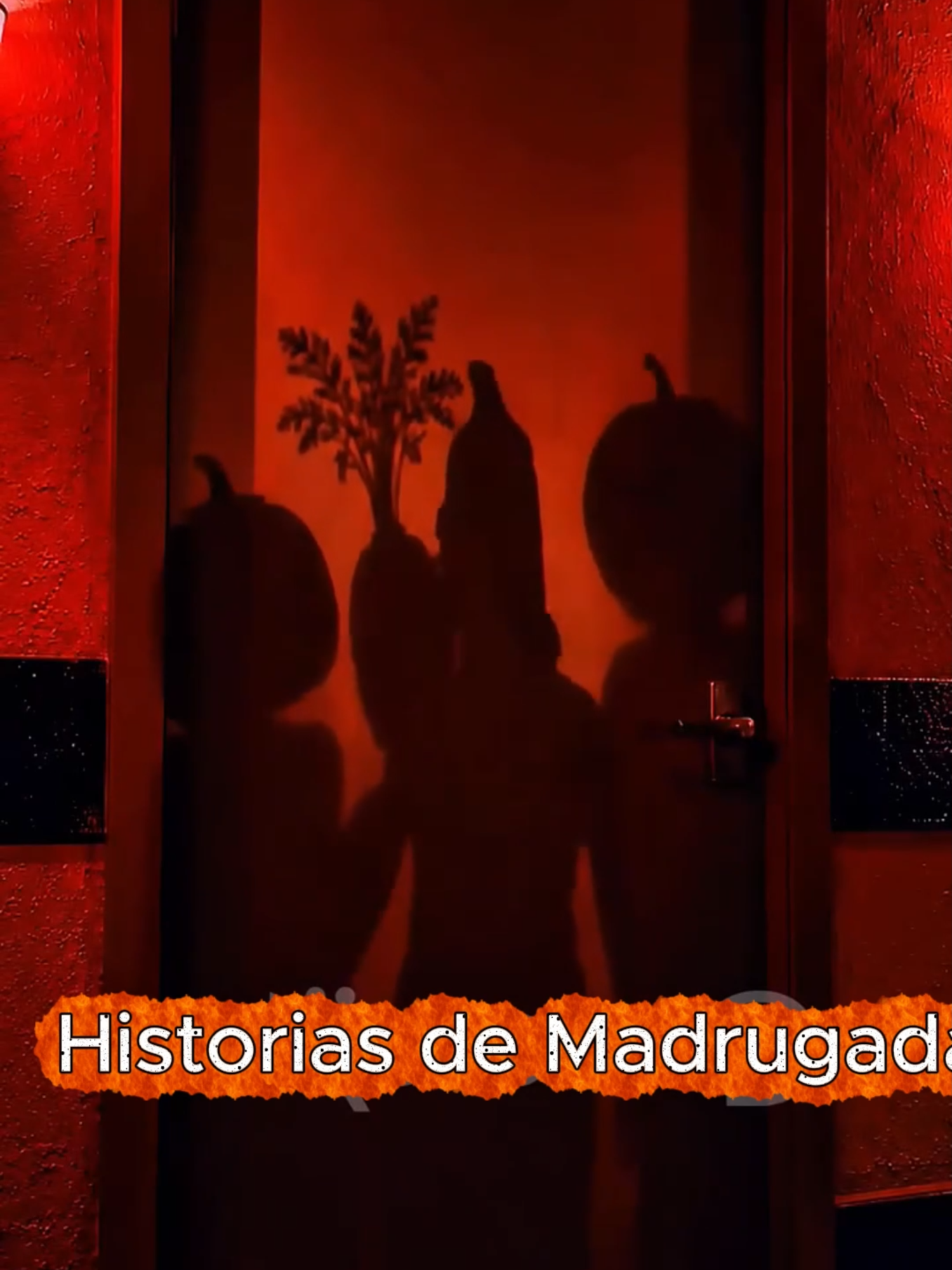 @historias de madrugada