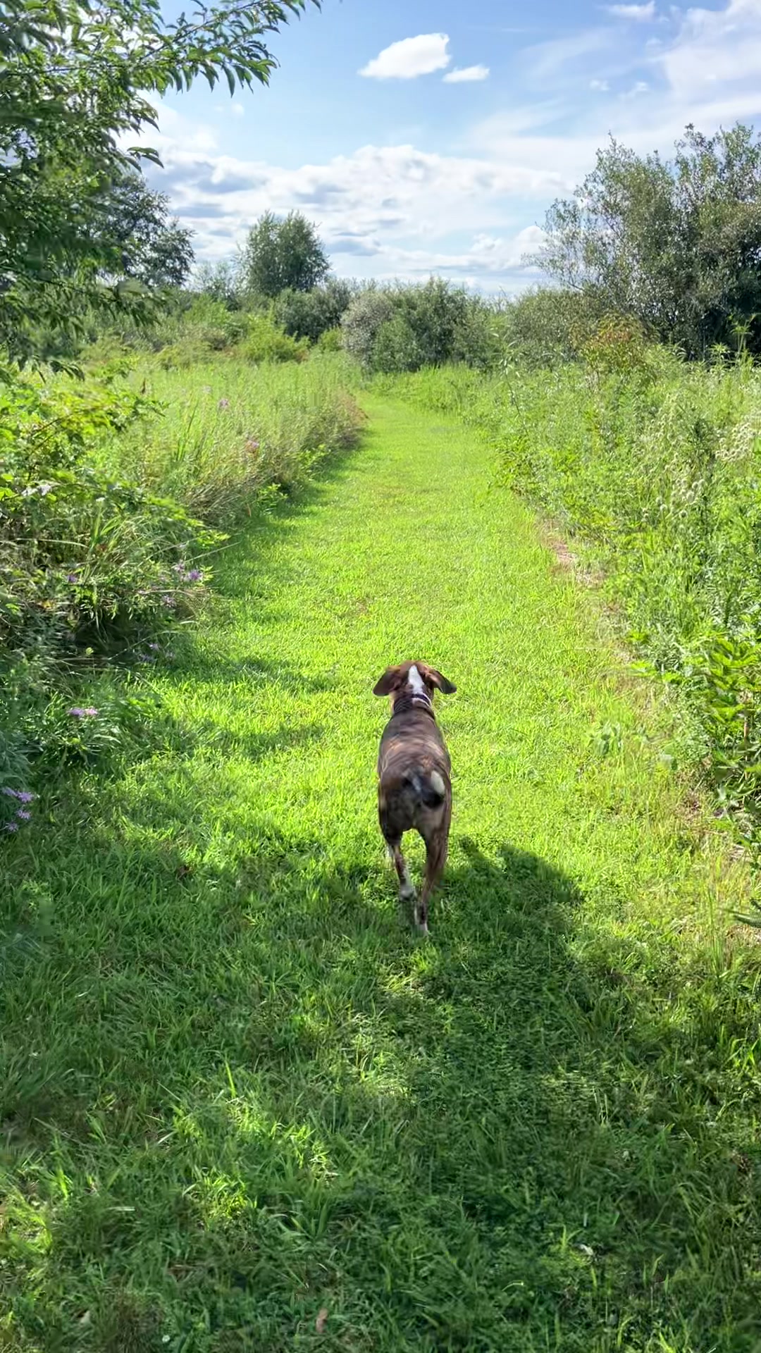 @Hikingwithstanley