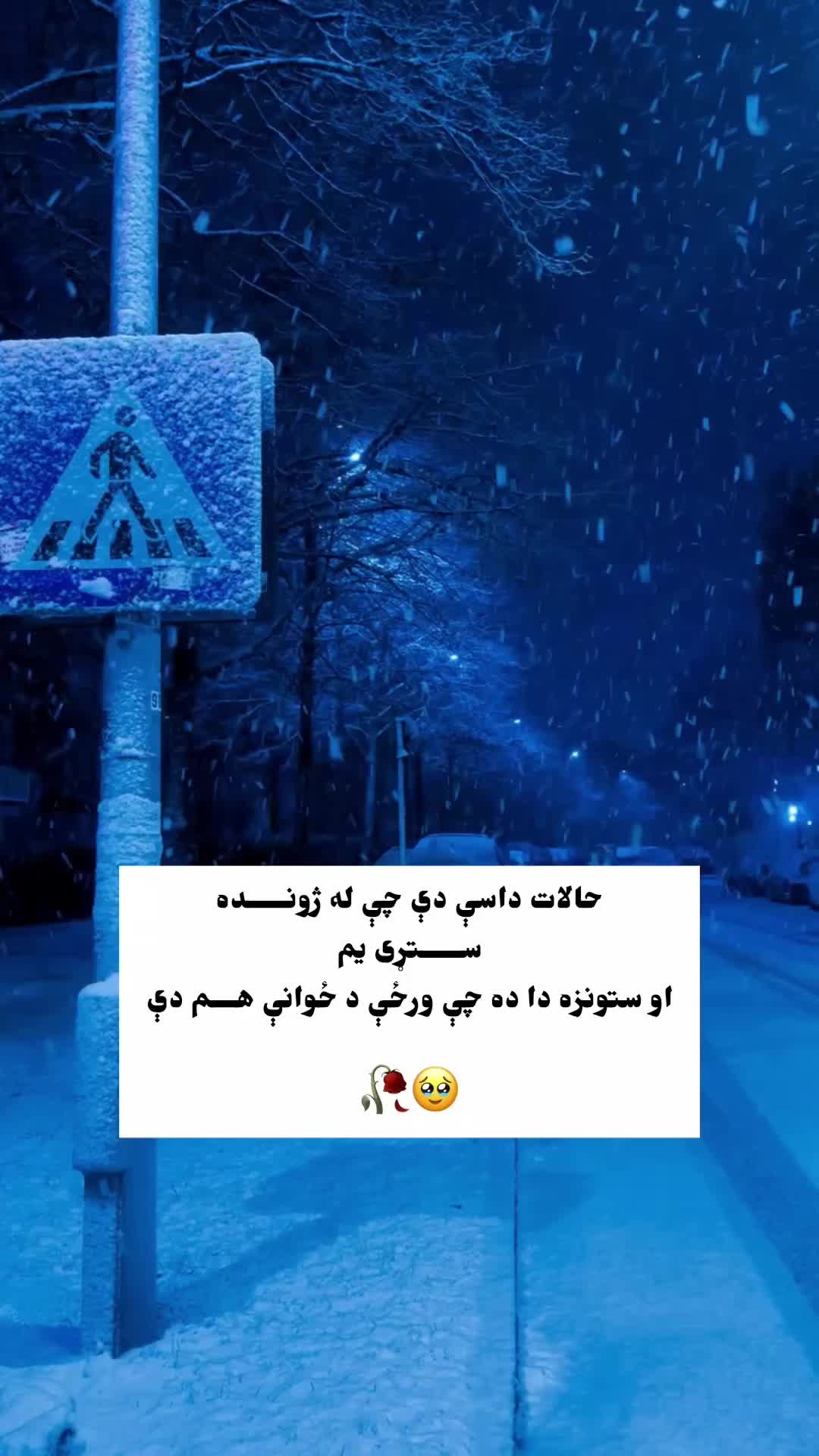 @𓈒𓏲ړنـــــ👑⑅⃝ــــګ﮼ 🤍