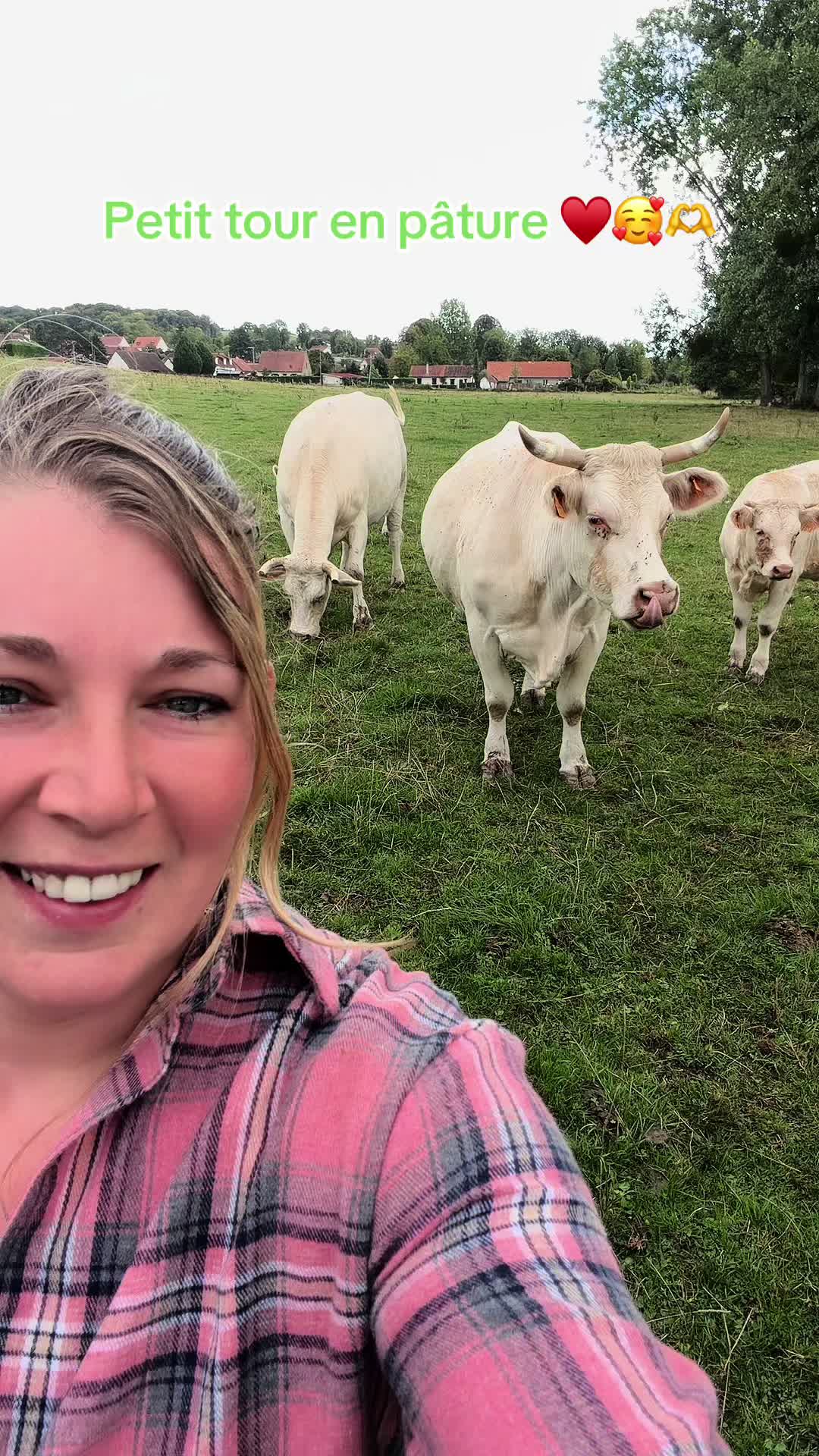 @ᏦᎥᎥᏦᏗᏗ 🌾🚜🐮