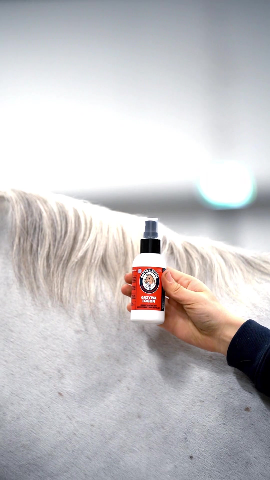 @Doctor Horse