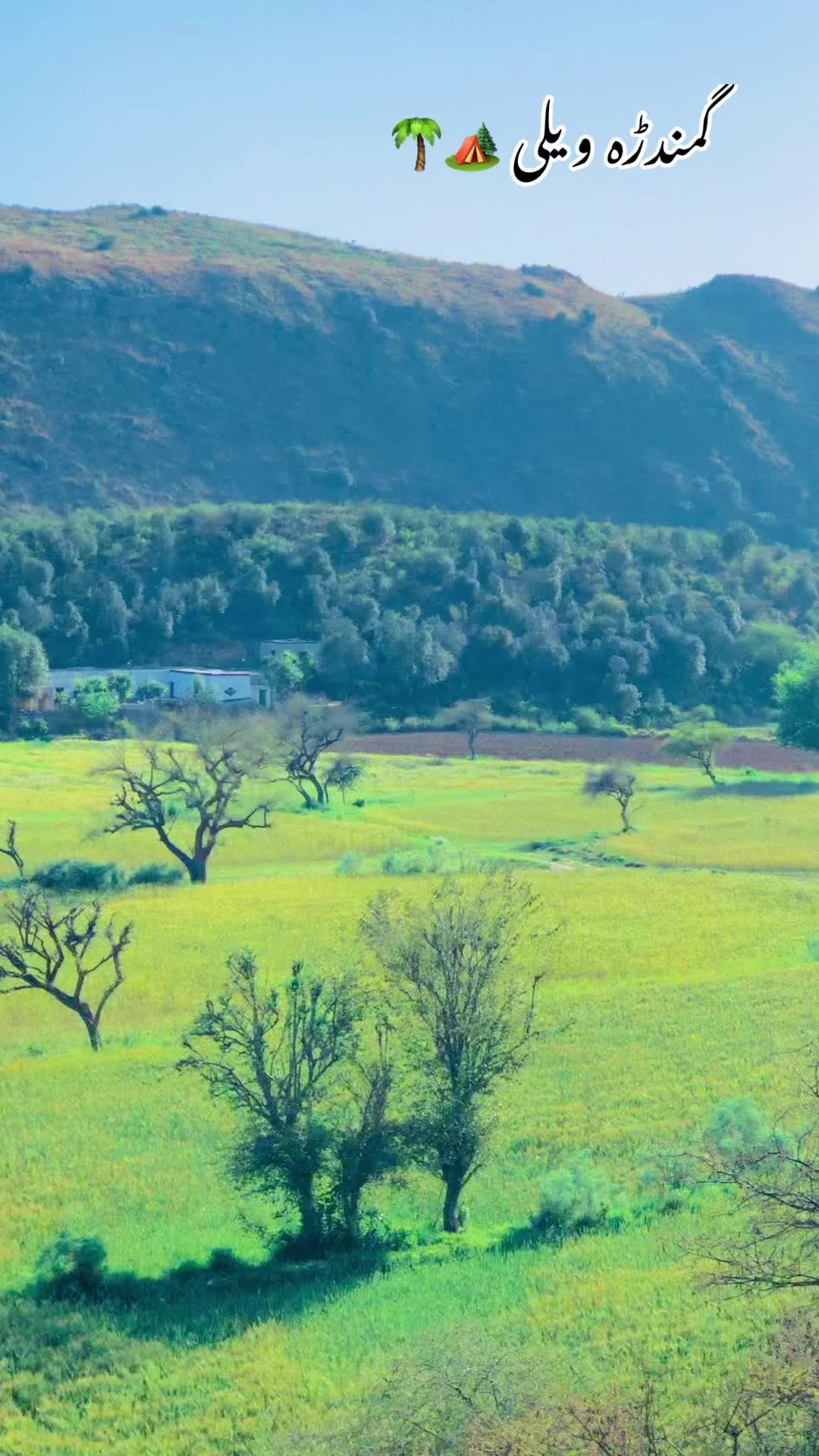 @محترمہ 🍁