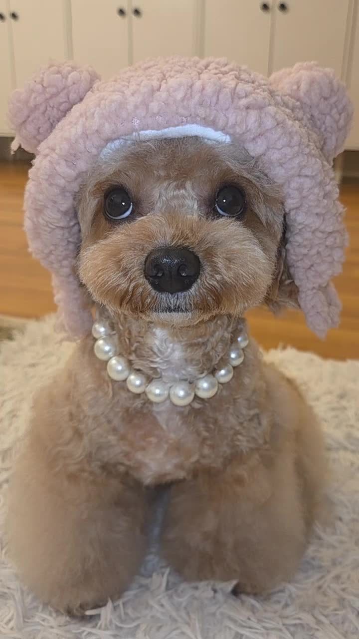 @Teddy12_22