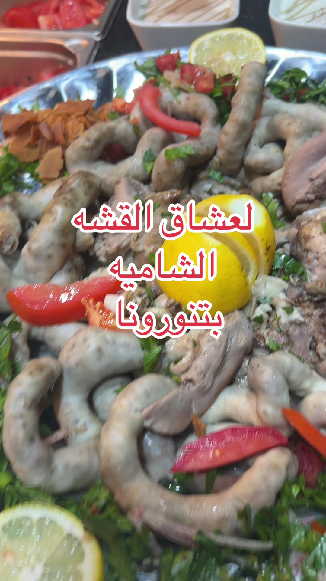 @مطبخ الباشا للتواصي الخارجية