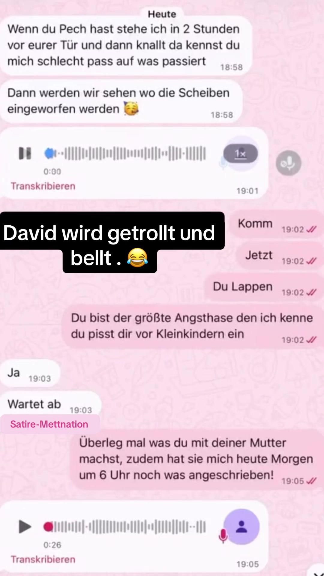 @Satire-Mettnation