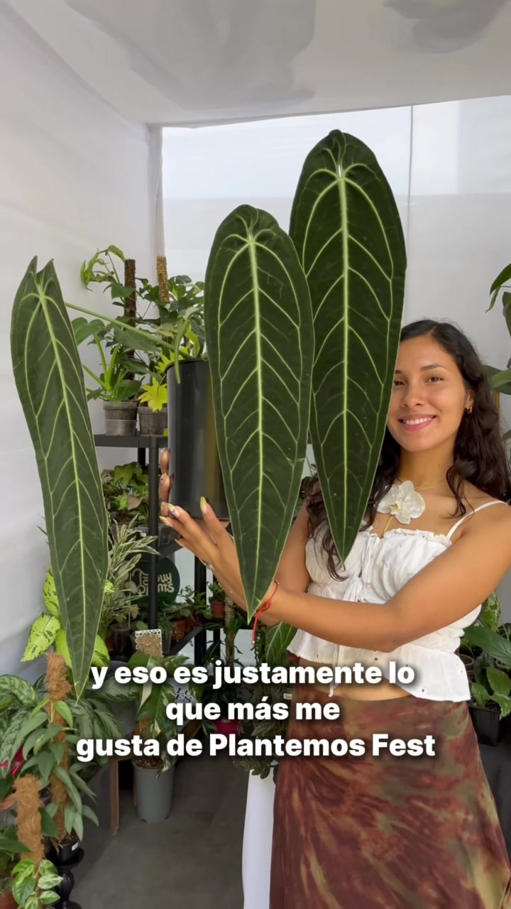 @arianacarrascolopez