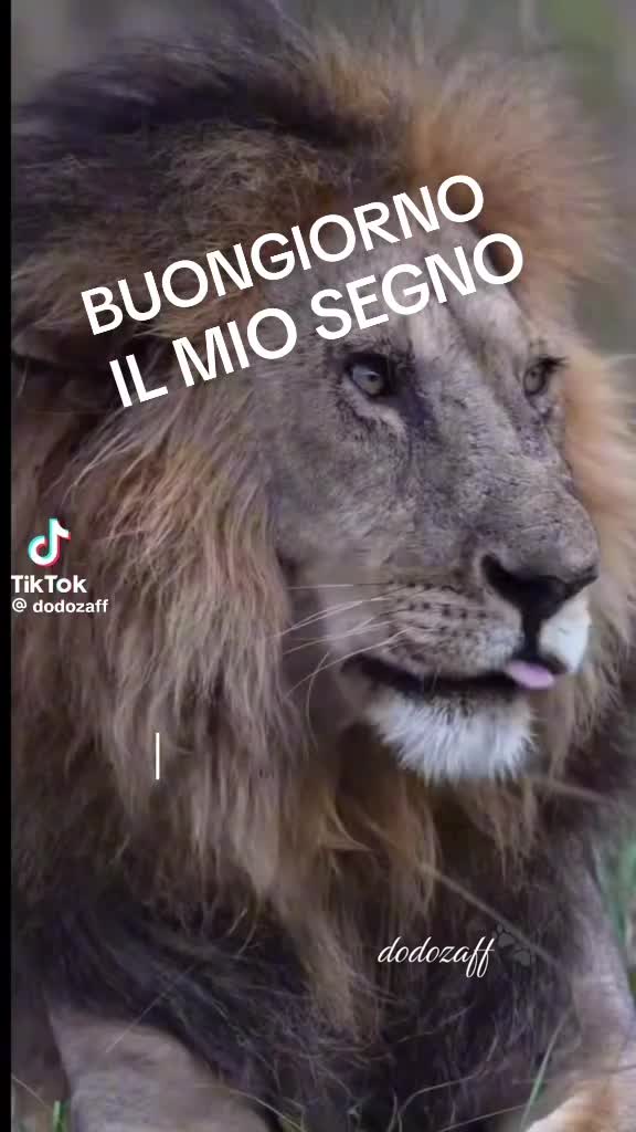 @assuntavespero618