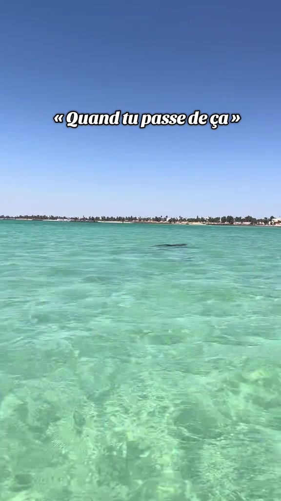 @LOVE❤️ 🇹🇳TUNISIA
