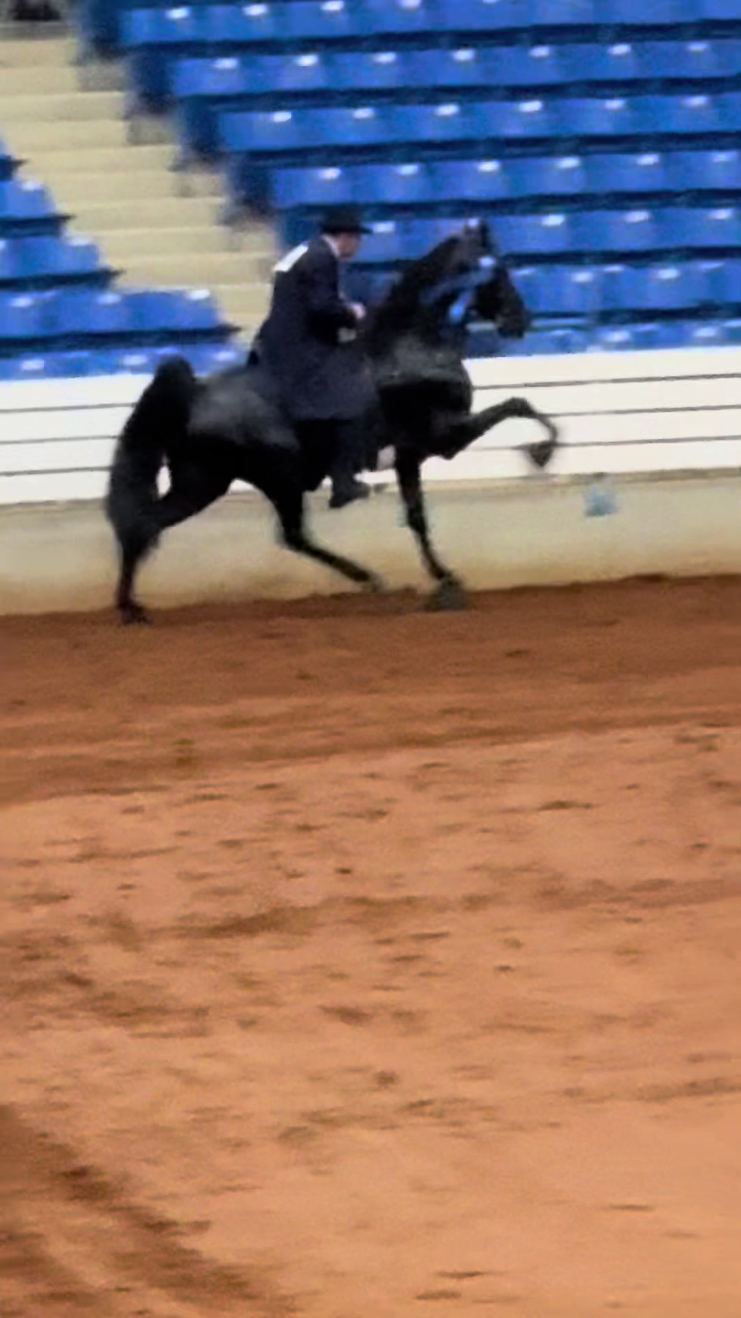 @EightyDollarStables