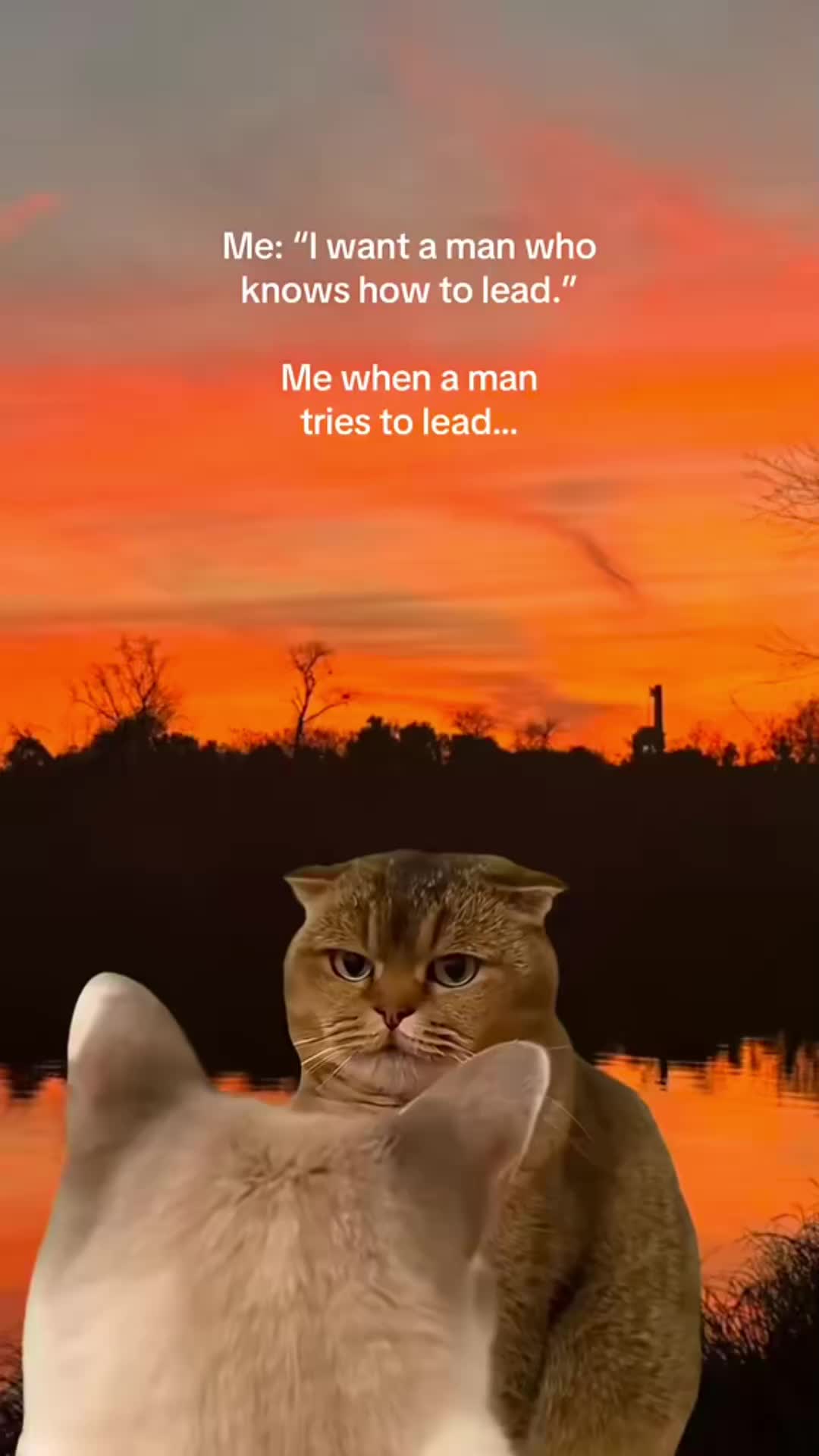 @Lg