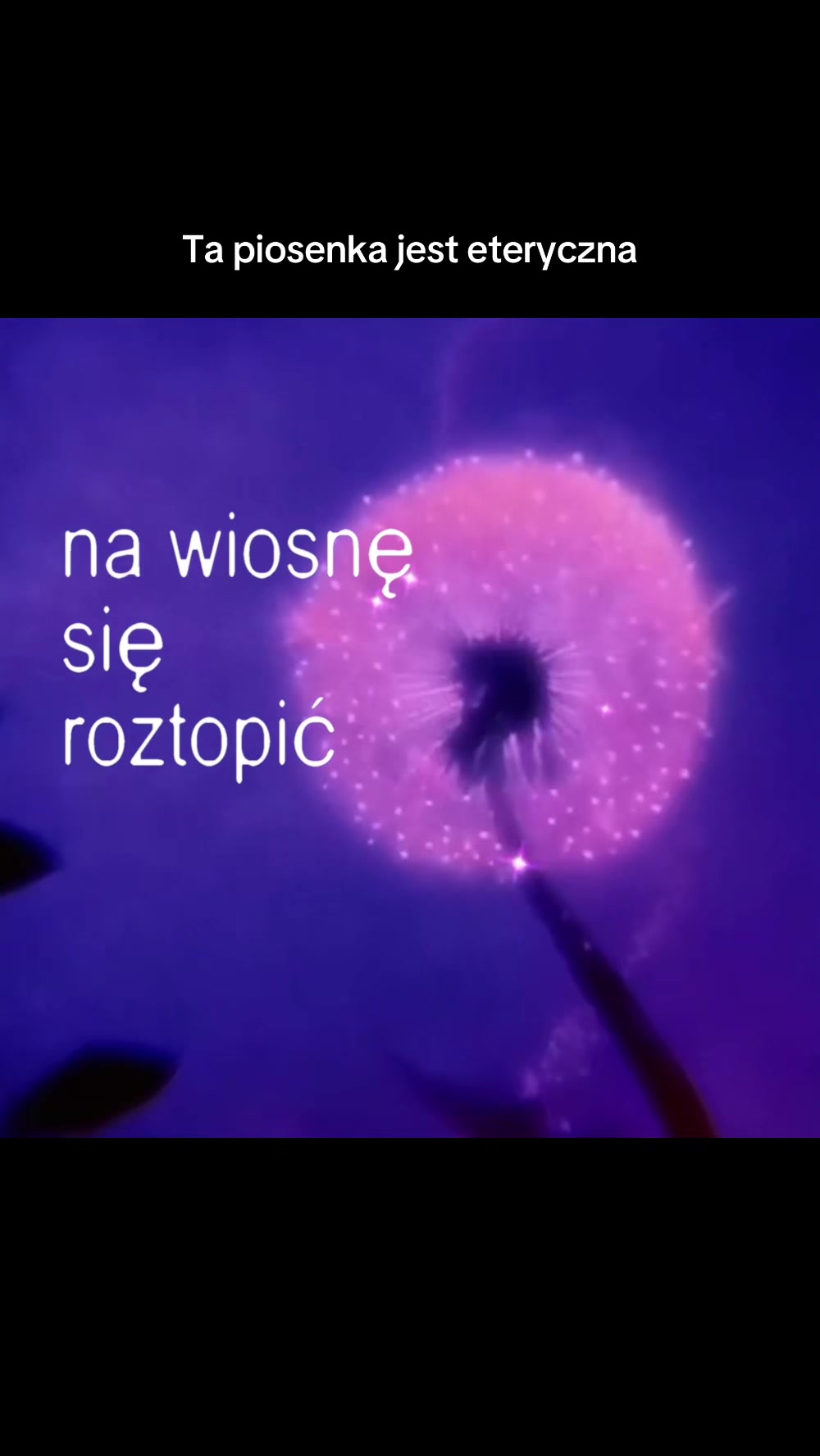 @Dawid Walkusz