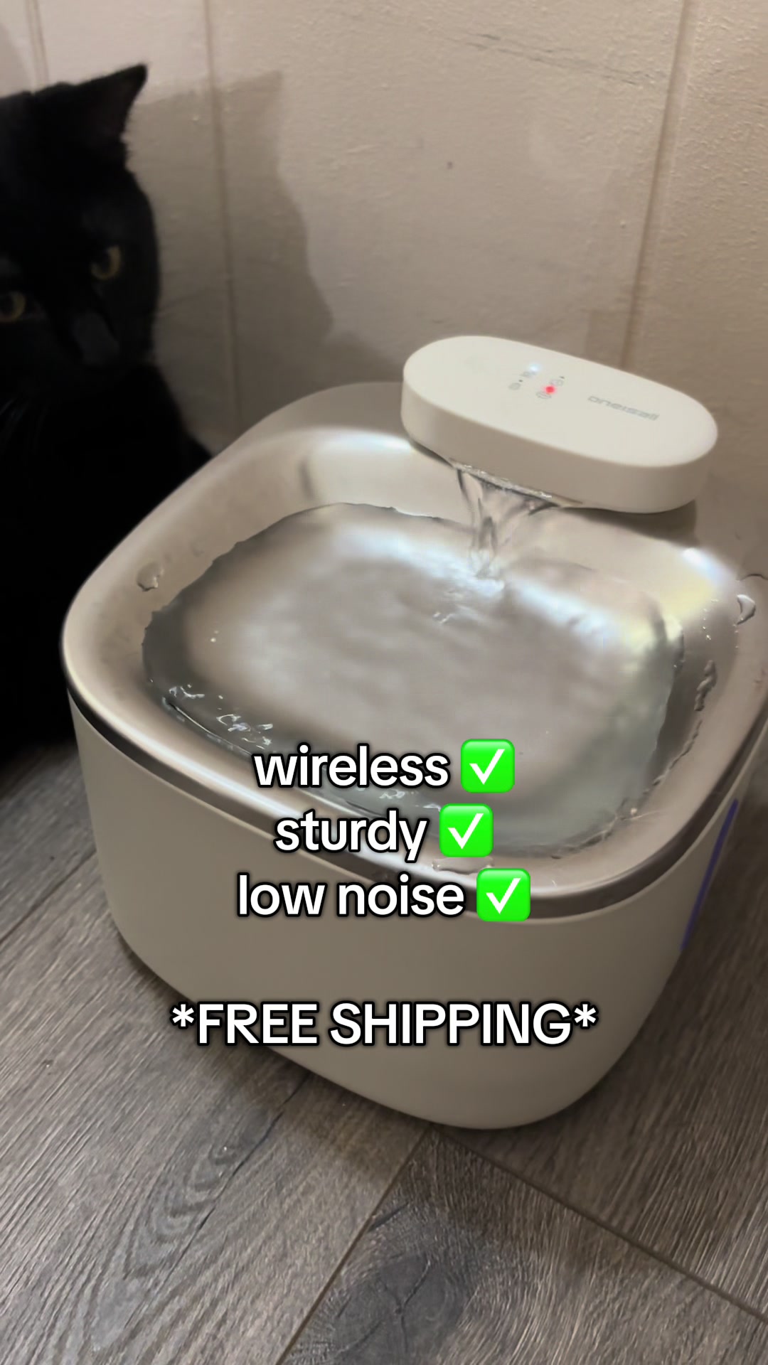 @twin voids 🐈&zwj;⬛