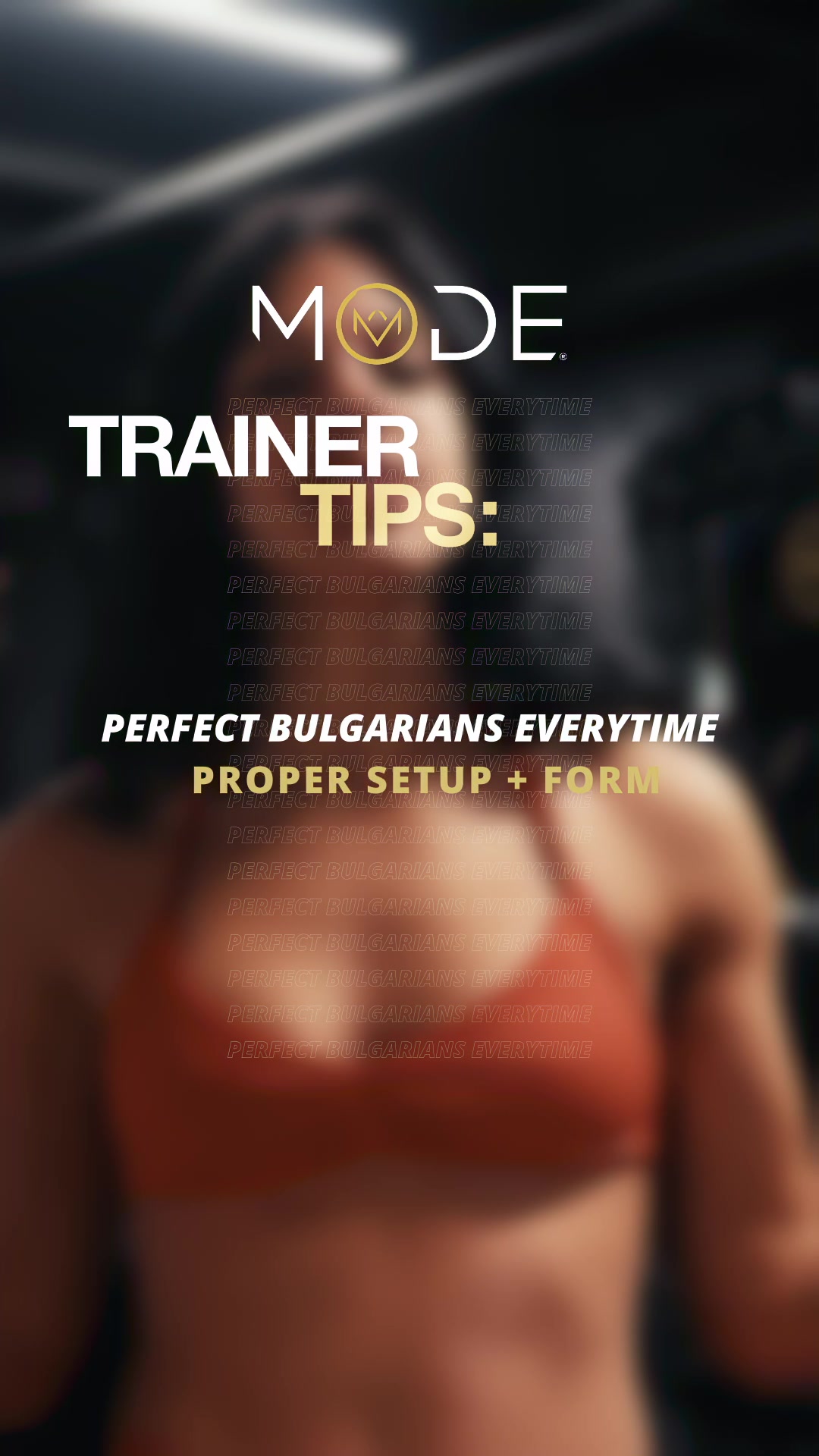 @MODE Gym