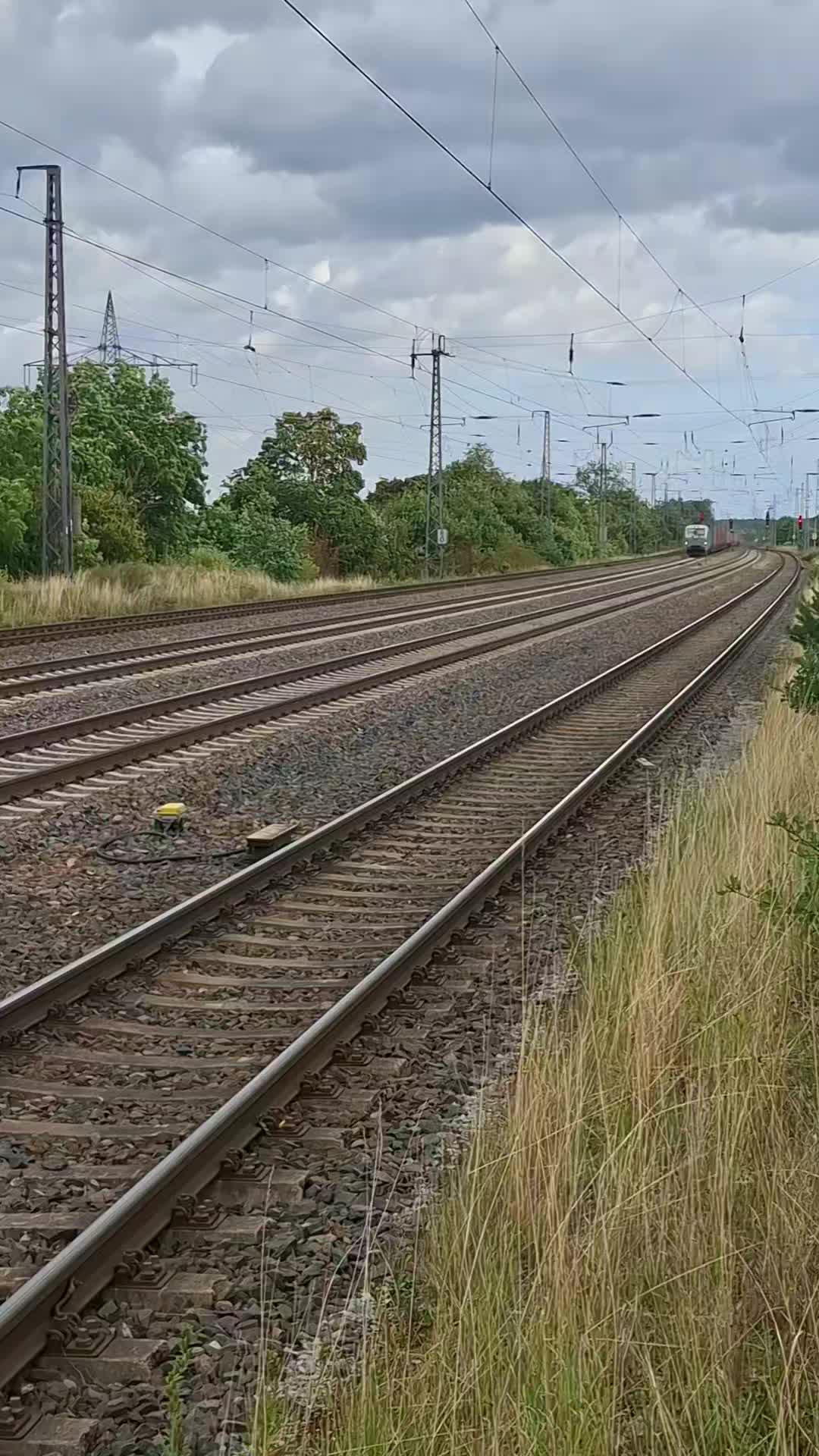 @Angeln und Z&uuml;ge 🇩🇪🚆🇩🇪🎣