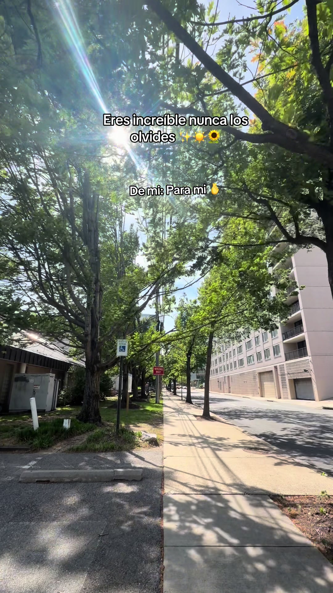 @🌞Sol López🌻🫦