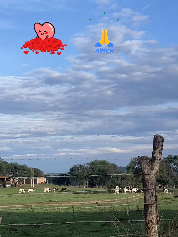 @Lebasi 🙏❤️
