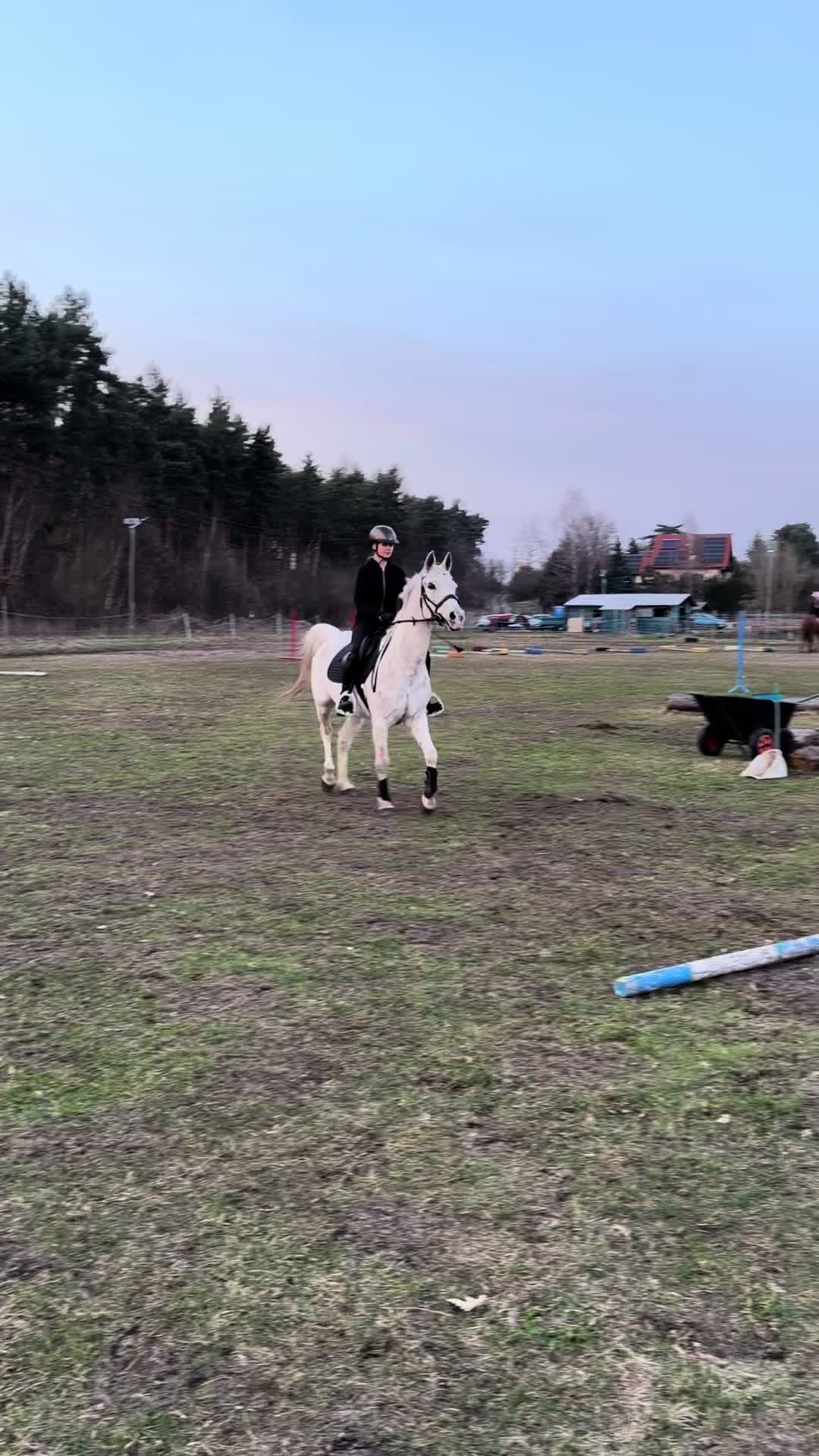 @lena🇵🇱