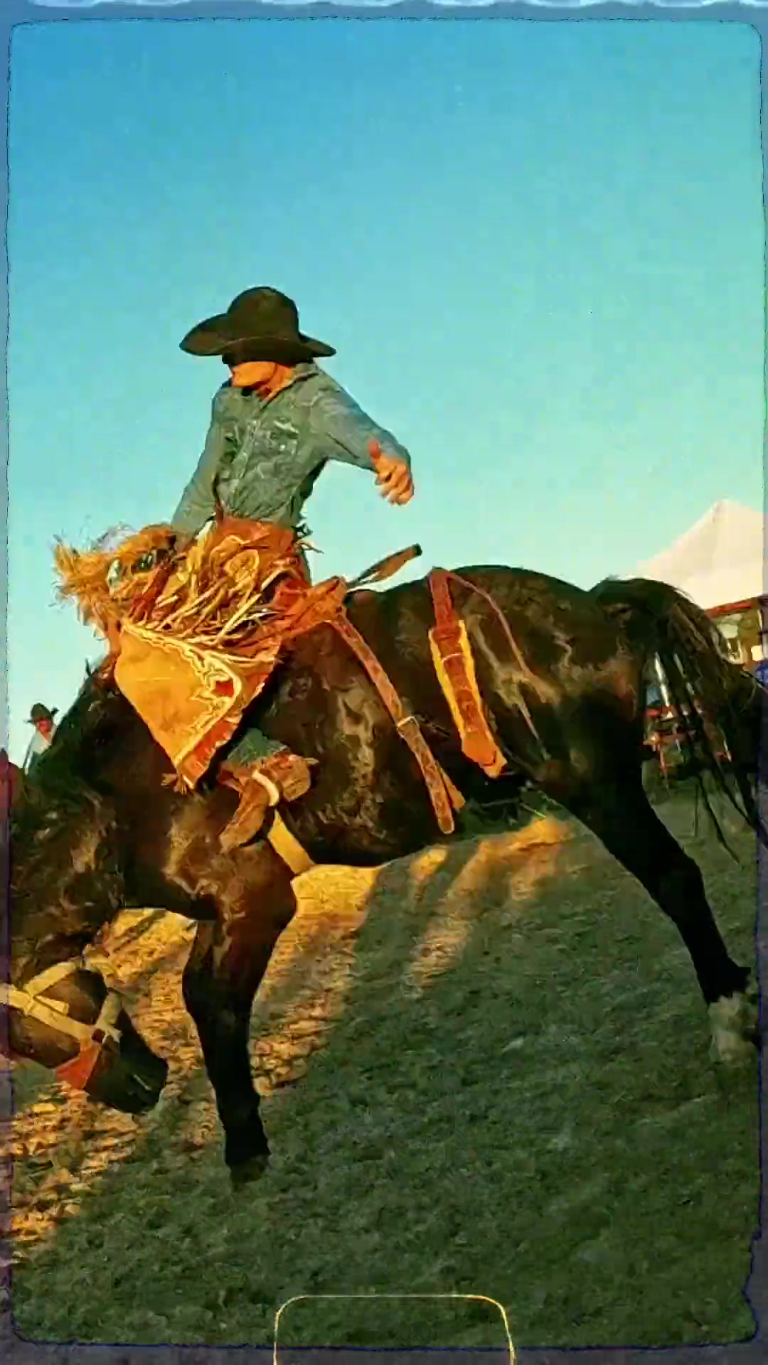 @Thanksgiving Rodeo School