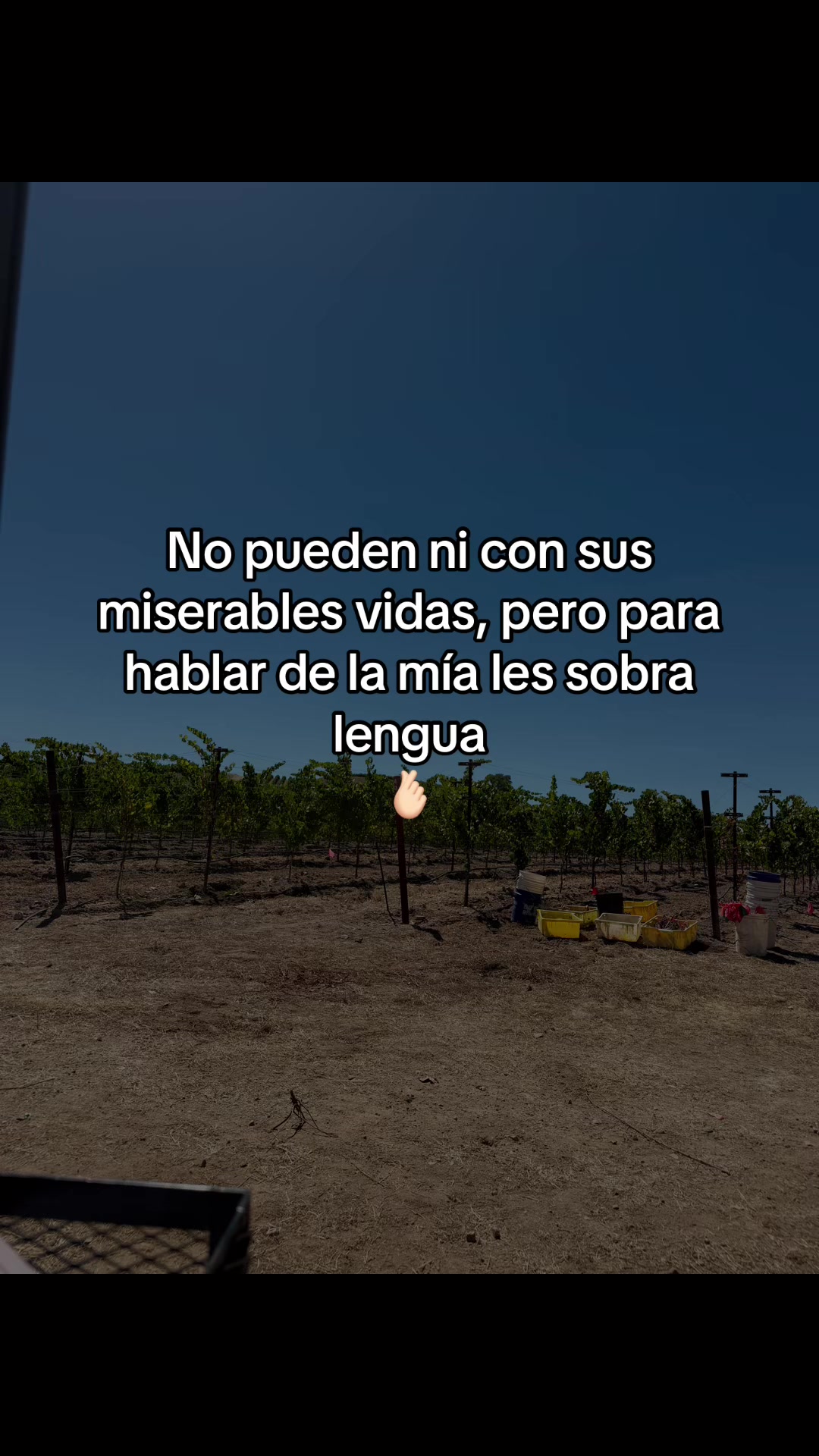 @Sandra Santiago