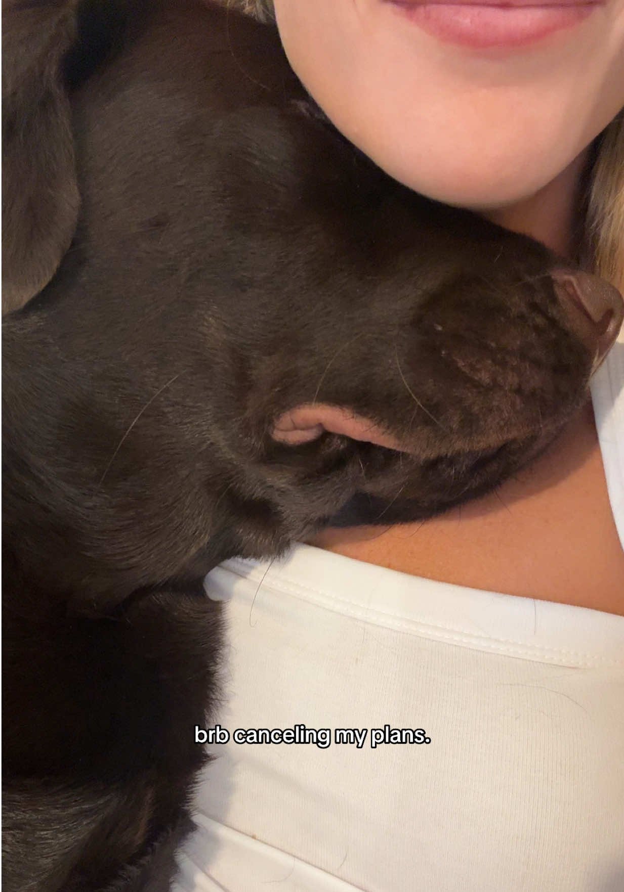 @chipthechonk