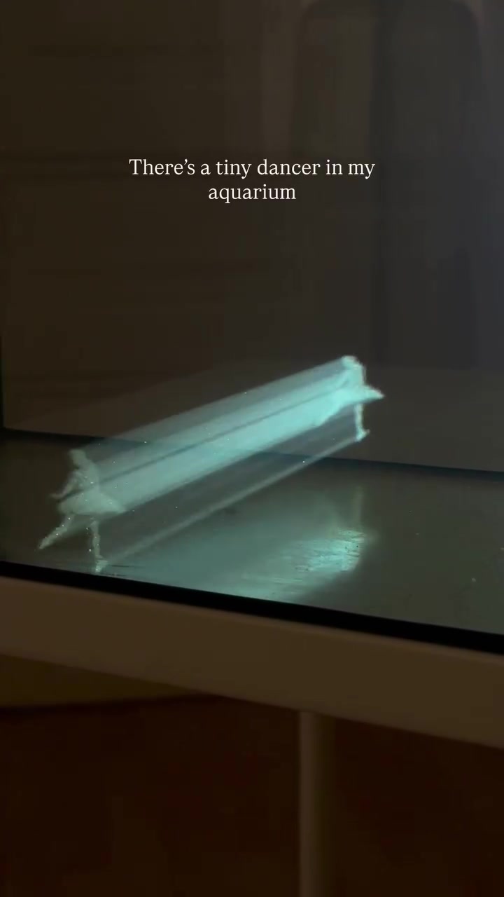@VisualAtelier8
