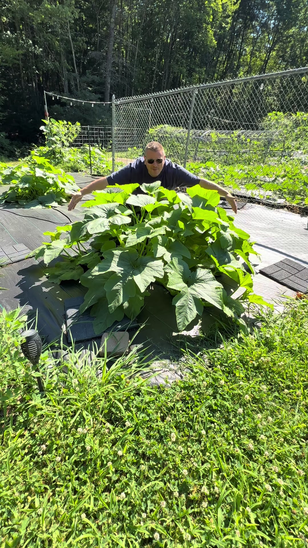 @Gourdfarmer