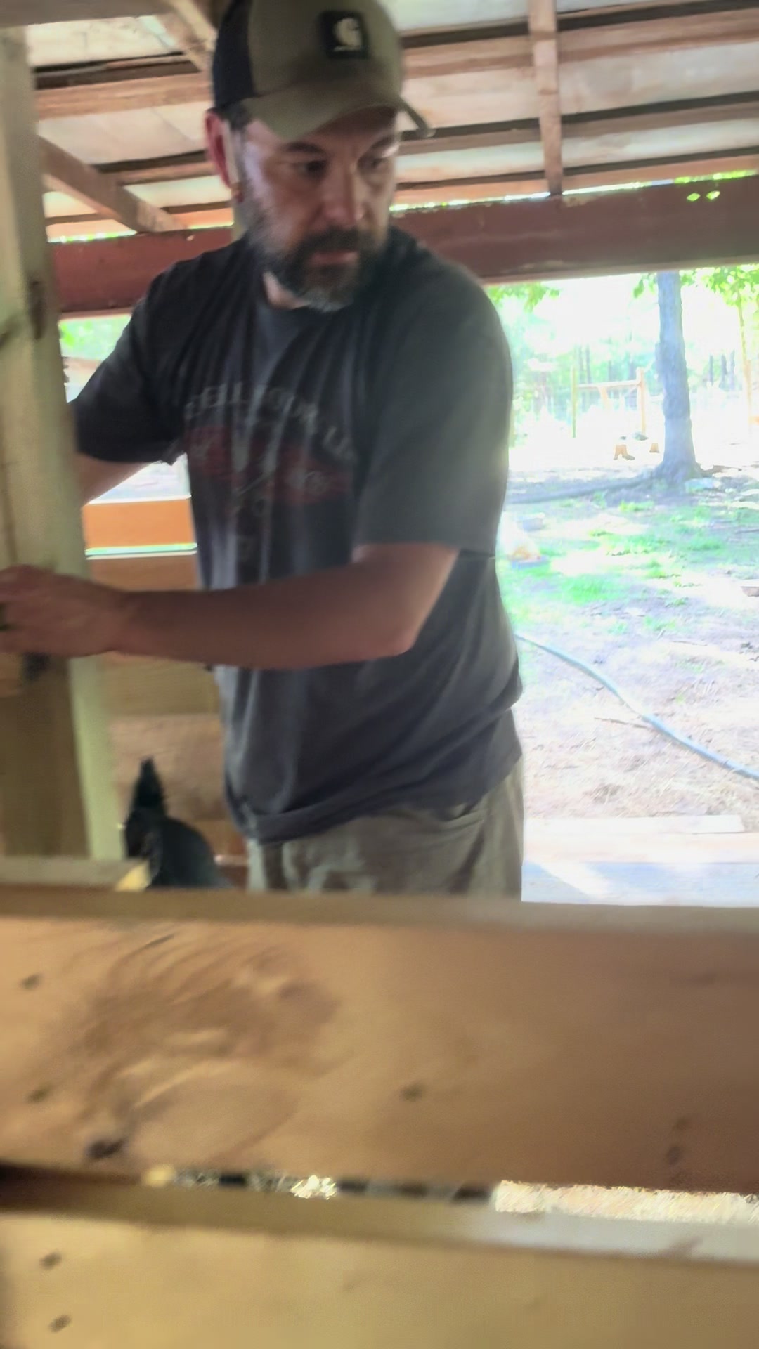 @Gray Acres Homestead