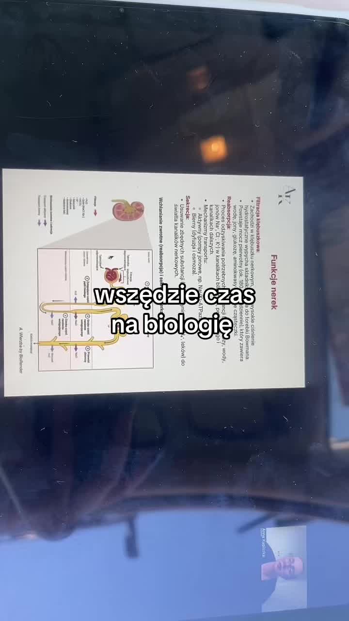 @_biolchemowo_