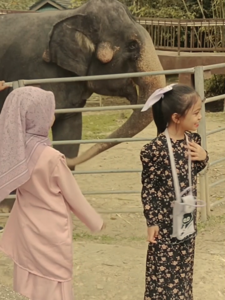 @AiNi Z