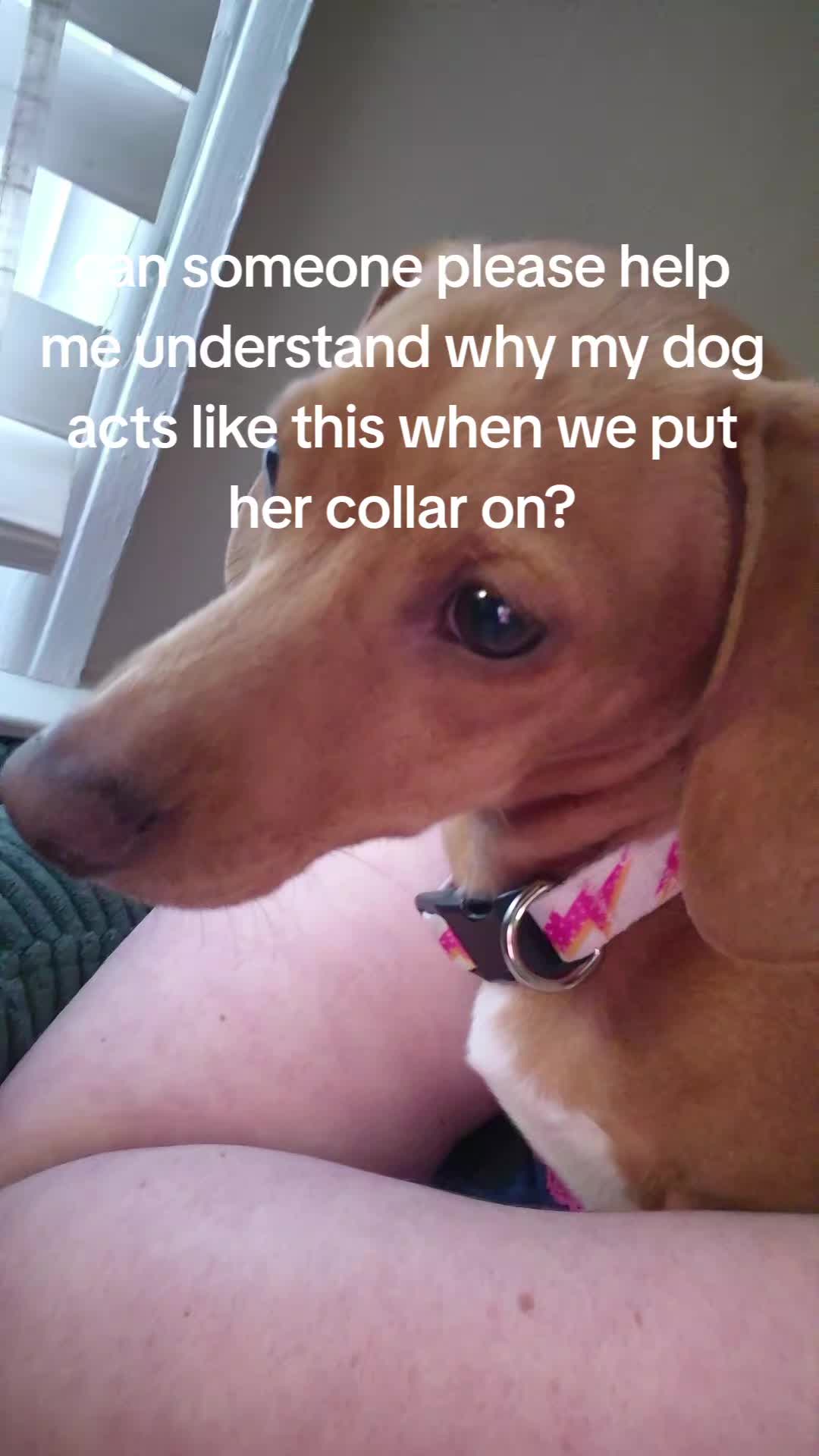 @Kenzie