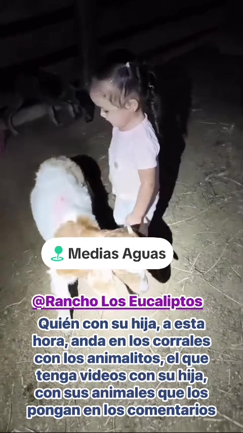 @maya