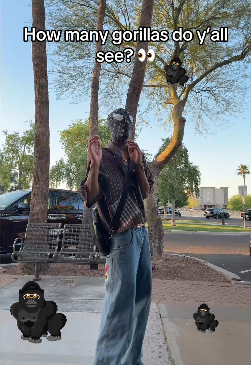 @SPIDA 🕷️