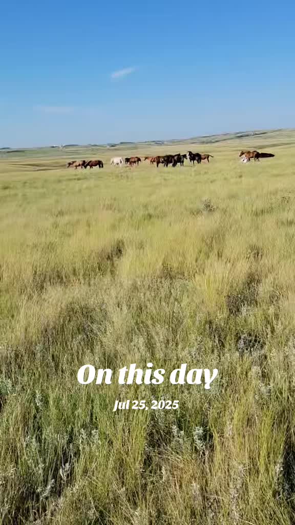 @Flint_❌ARRR Rescue Ranch