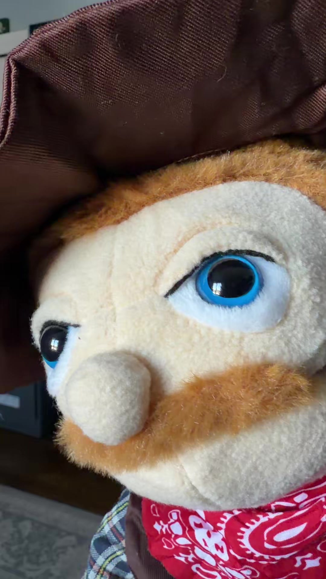 @puppetpictureshow