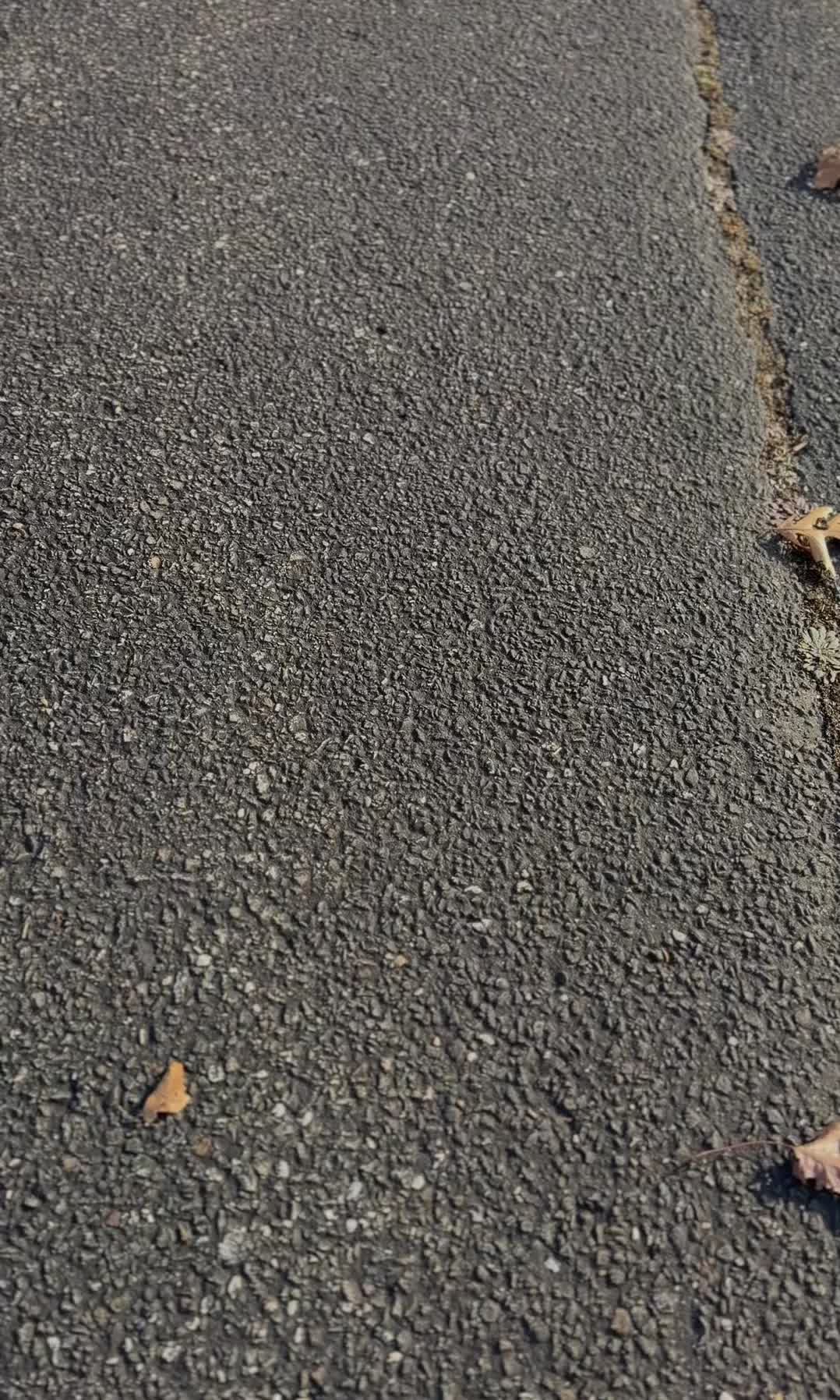 @its_cartelevision