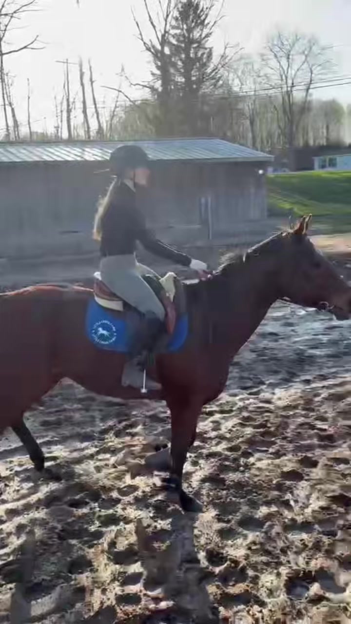 @🐎Aby 😌👌✨️