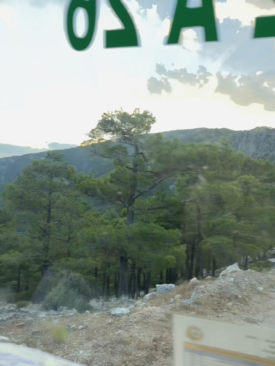 @Ateşsavaş&ccedil;ıları👨&zwj;🚒🌲🌳