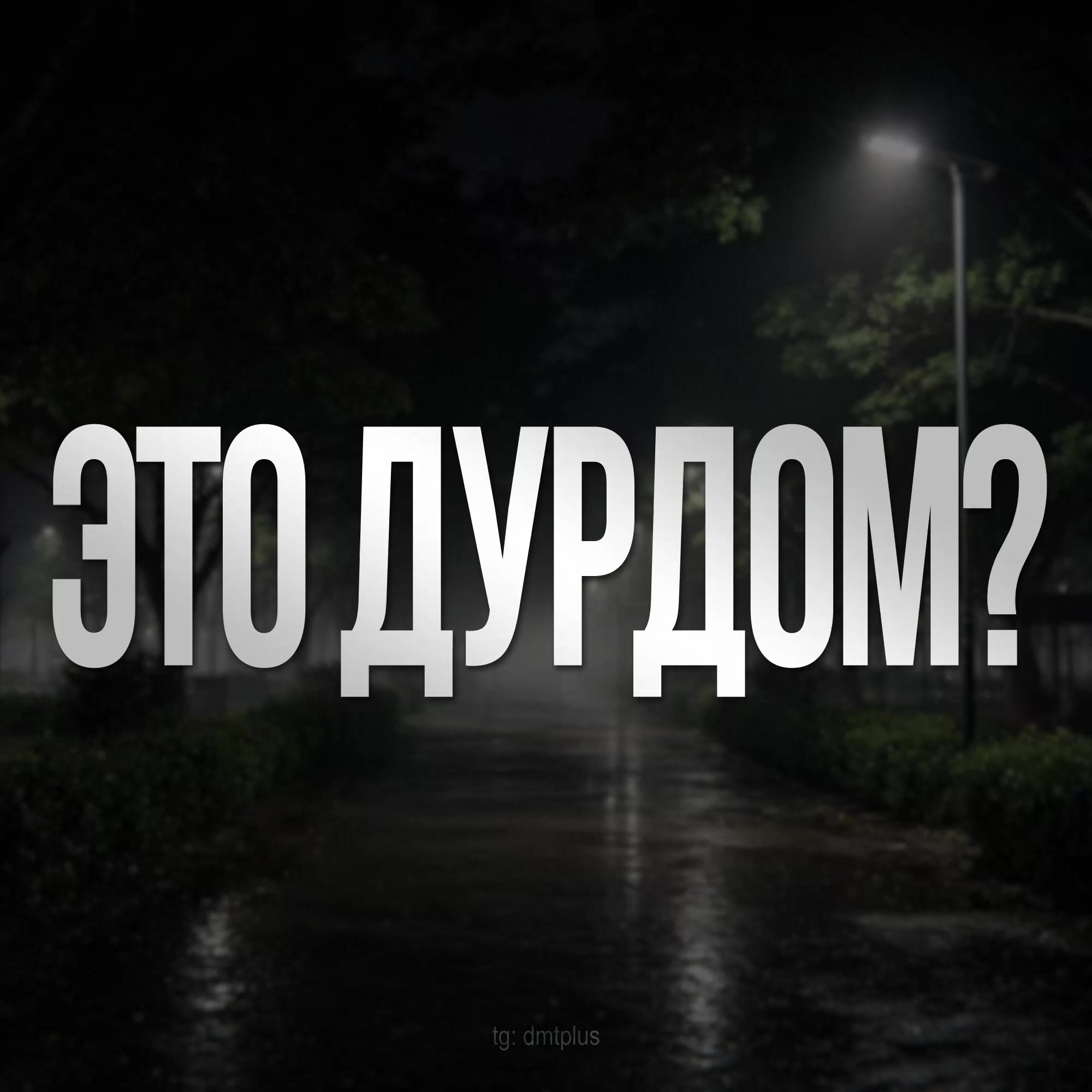 @dmt +