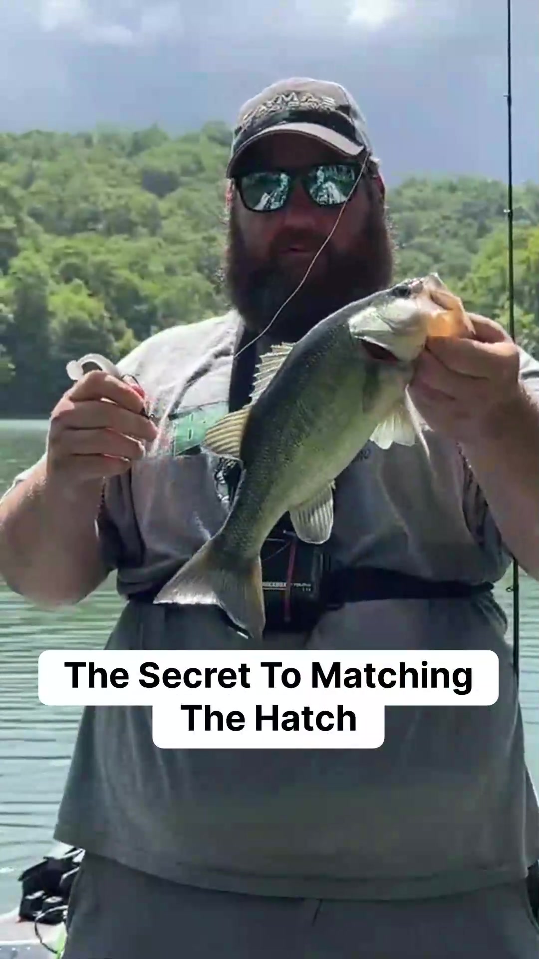 @bassgeek