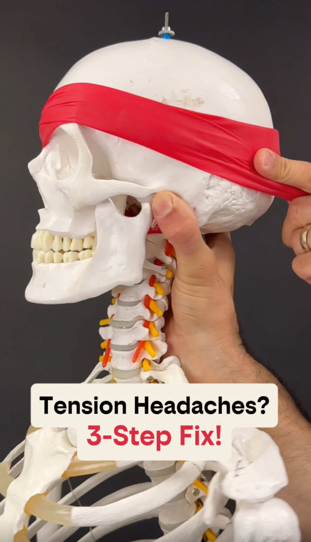 @Dr. Joe Damiani, DPT