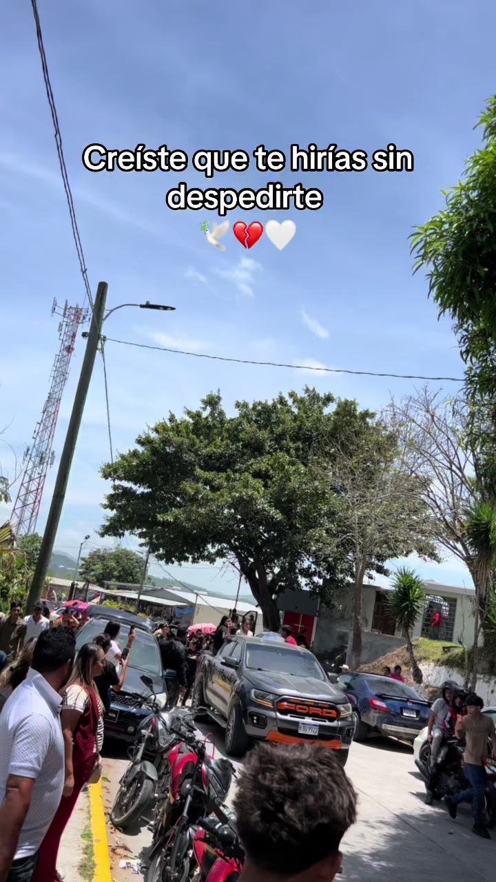 @JAVIER PORTILLO🐌🇭🇳🛩️