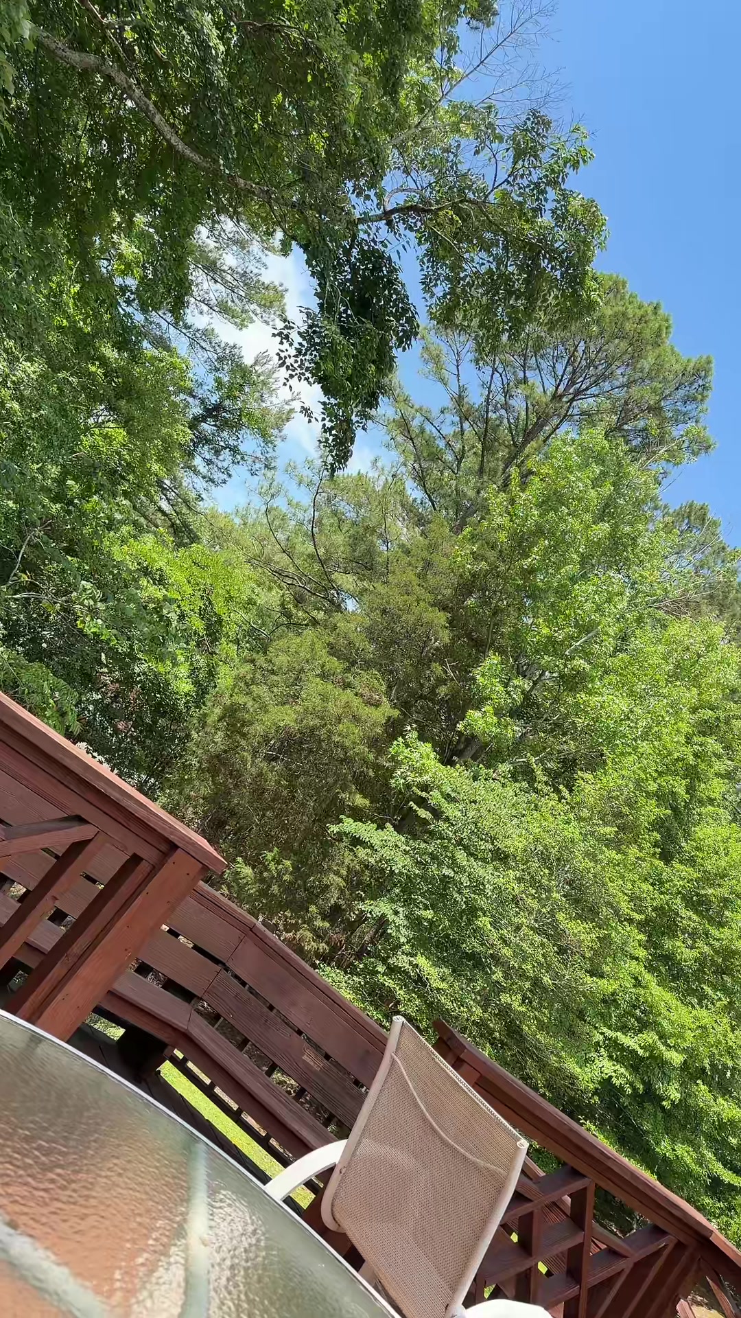 @erinbsparks