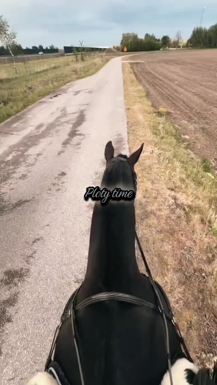 @zofka_eq