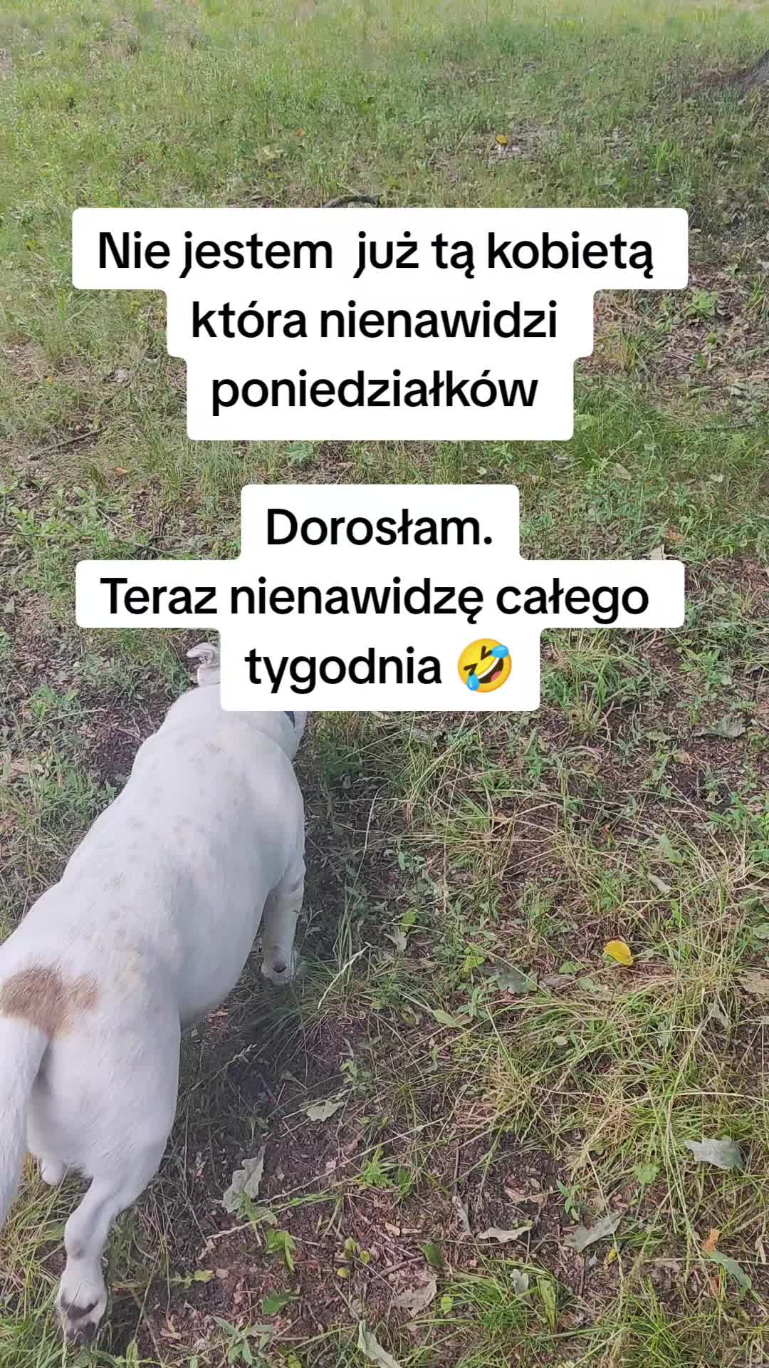 @Ruda Marta 🦊👑